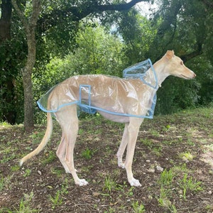 Manteau de pluie pour chien, manteau d'hiver imperméable doublé avec sangle à clip réglable toutes tailles pour lévrier, whippet et tous les chiens image 1