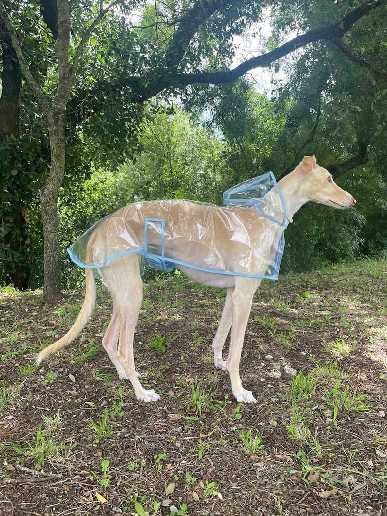 Manteau de pluie pour chien, manteau d'hiver imperméable doublé avec sangle à clip réglable toutes tailles pour lévrier, whippet et tous les chiens image 1