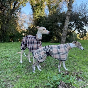 May include: Two dogs wearing plaid dog coats in a grassy field. The coats are beige, brown, and black with a plaid pattern.
