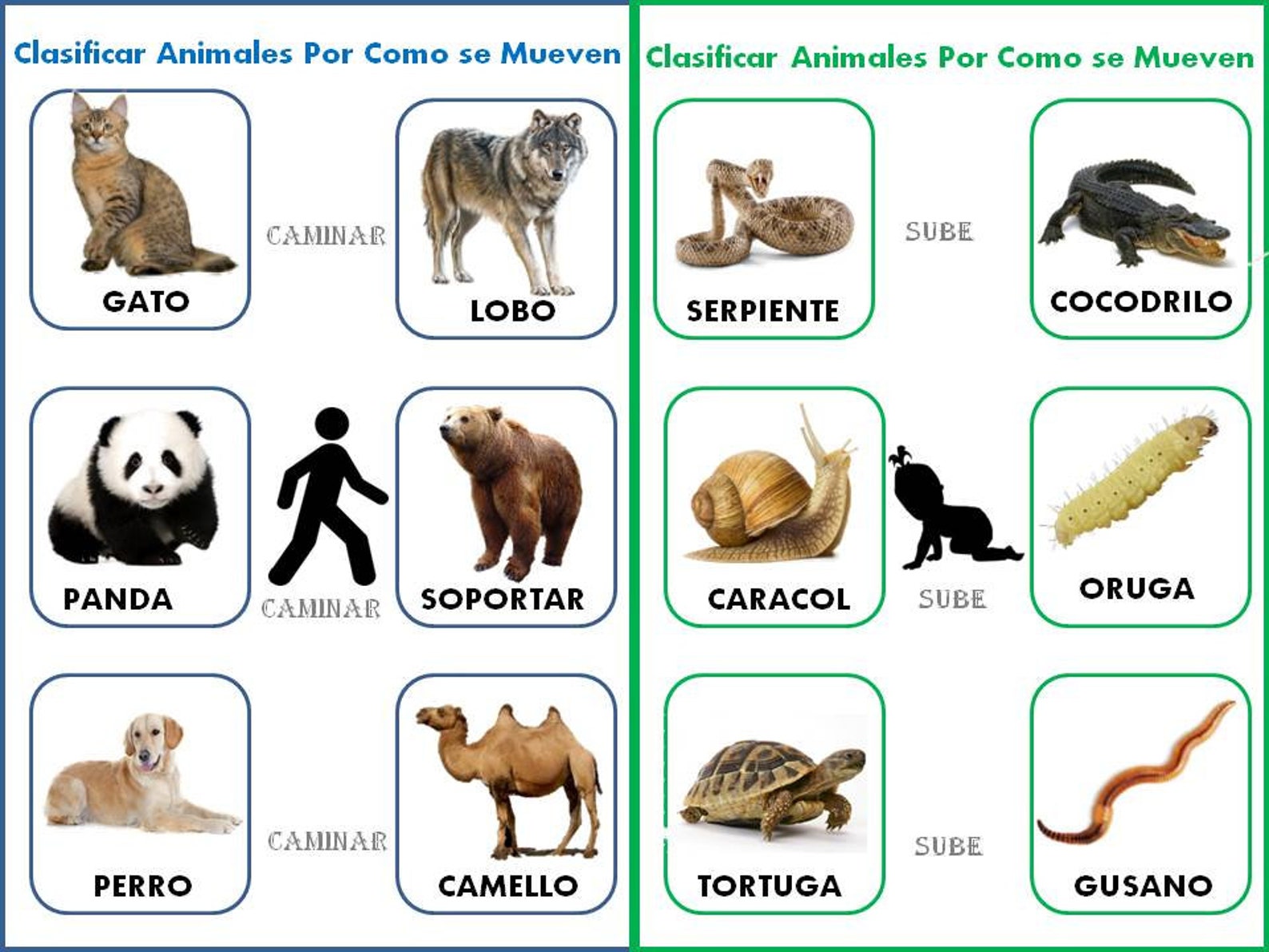Spanishsorting Game How Animals Move, Preschool Printable, Homeschool