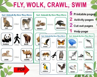 Sorting Game How Animals Move Preschool Printable - Etsy UK Sorting Game How Animals Move Preschool Printable - Etsy UK