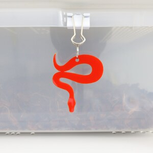 May include: A red plastic snake charm hanging from a silver clip on a clear plastic container.