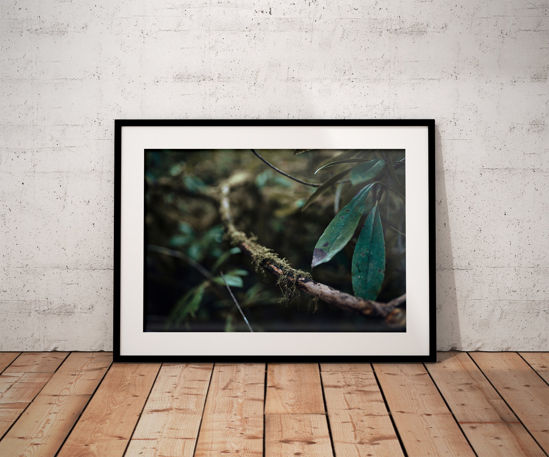 Moody Wall Art print for relaxation / nature lover gift Etsy