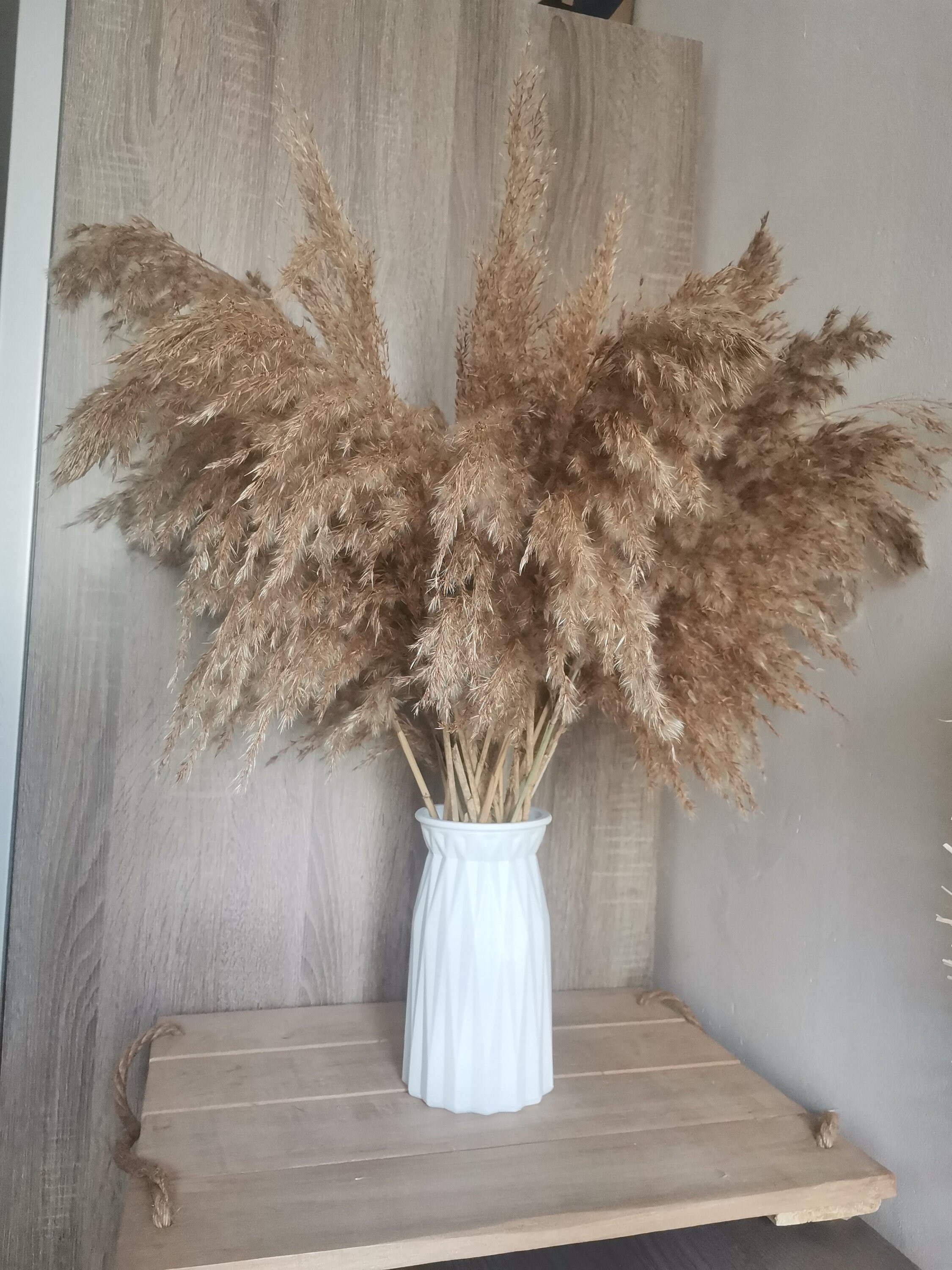 Vase avec Bouquet de Pampas, Pampas Sèches, Vase Fleurs Base et Blanche