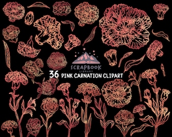 Carnation Clipart, Mother’s Day Flower, Rose Gold Flower, Pink Metallic Leaf, Flower Bud, Leaf Clipart, Carnation Lines, Plant, Valentine’s