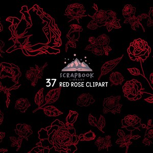 Rosen Clipart, Muttertagsblume, rote Rosenblüte, rote Blattform, Blütenknospe, Blatt Clipart, Rosenlinien, Pflanze, Valentinstag