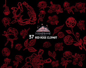 Rose Clipart, Mother’s Day Flower, Red Rose Flower, Red Leaf Shape, Flower Bud, Leaf Clipart, Rose Lines, Plant, Valentine’s