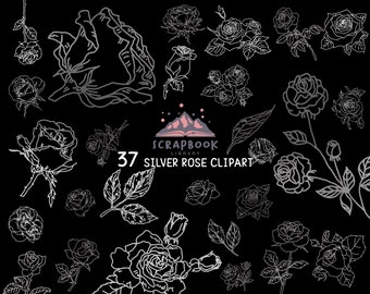 Rose Clipart, Muttertagsblume, Weißgoldblume, Silbermetallic Blattform, Blütenknospe, Platinblatt, Rose Lines, Pflanze, Valentinstag