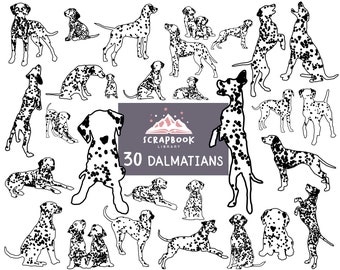 Dalmatian Clipart, Dalmatians, Puppy, Dog, Pet, DXF, EPS, SVG, Pet Silhouette, Active Animal, Black Spots