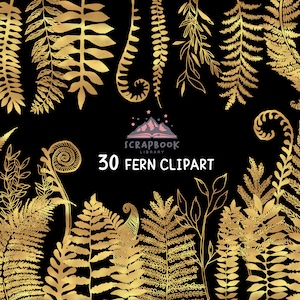30 ornements de fougère feuille d’or clipart, motif de fougère, fougère feuilles fougère Silhouette, Texture de feuille, conception de fougère, Image de fougère dessiné à la main, plante