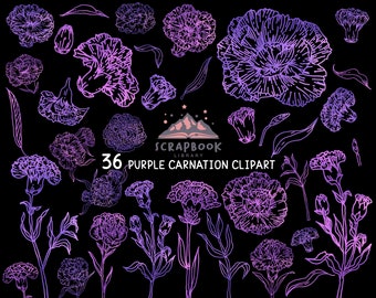 Carnation Clipart, Mother’s Day Flower, Rose Gold Flower, Metallic Purple Leaf, Flower Bud, Lilac Leaf, Carnation Lines, Plant, Valentine’s