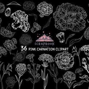 Peut inclure: Un ensemble de 36 illustrations de carnations roses en noir et blanc. Les illustrations sont de styles variés, notamment des fleurs simples, des bouquets et des arrangements floraux. Le texte "Scrapbook Library 36 Pink Carnation Clipart" est inclus dans l'image.