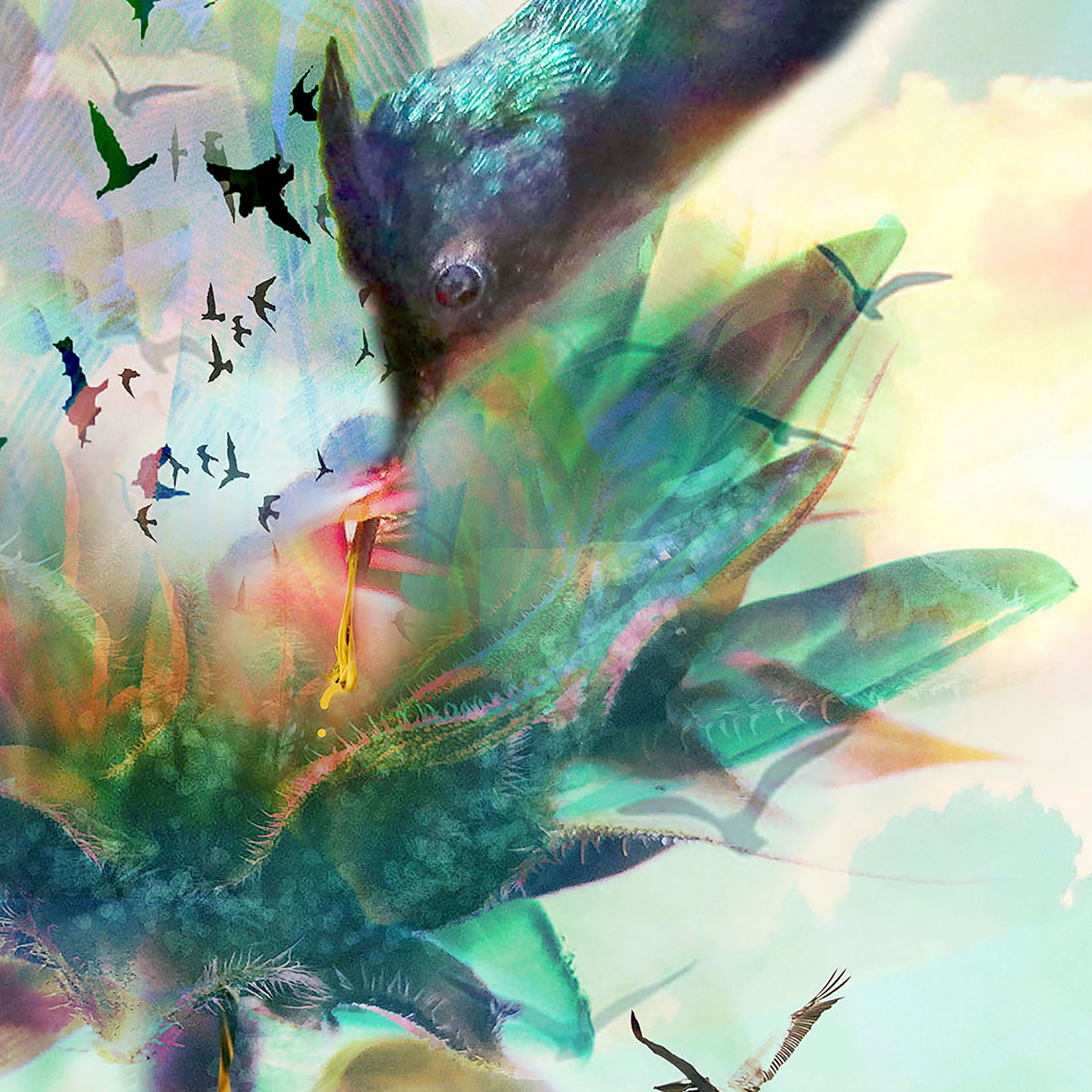 Art Print 10x10 Unframed Square prints Bird Etsy