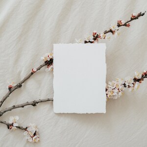 Maqueta de tarjeta minimalista Deckle Edge. Papel hecho a mano 5x7. Maqueta horizontal estilo boho. Colección de flores