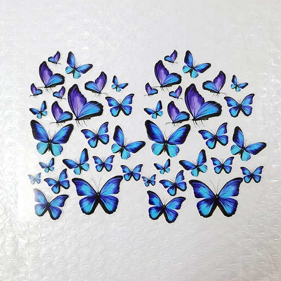 Small Blue Butterfly Iron on Patches for Custom Shoes, Heat