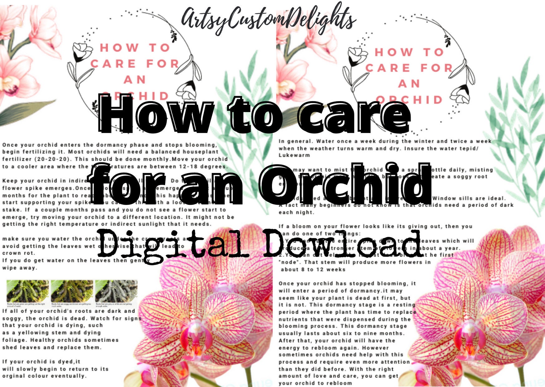 Orchid Care Sheet And Instructions2 Part How To Care For An Etsy UK Orchid Care Sheet And Instructions2 Part How To Care For An Etsy UK