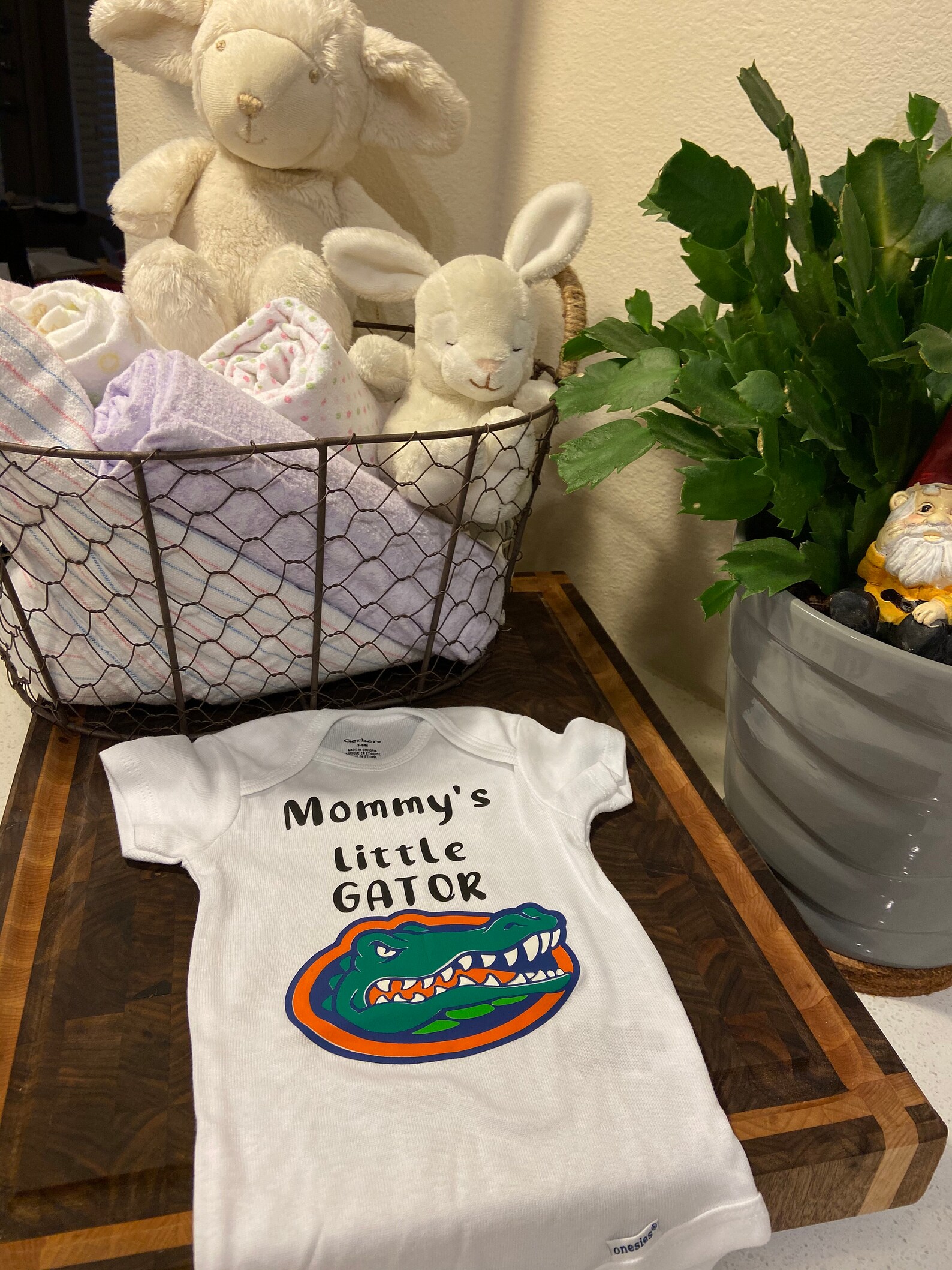 Florida Gators Florida Gator Onesie Baby Onesie College Etsy