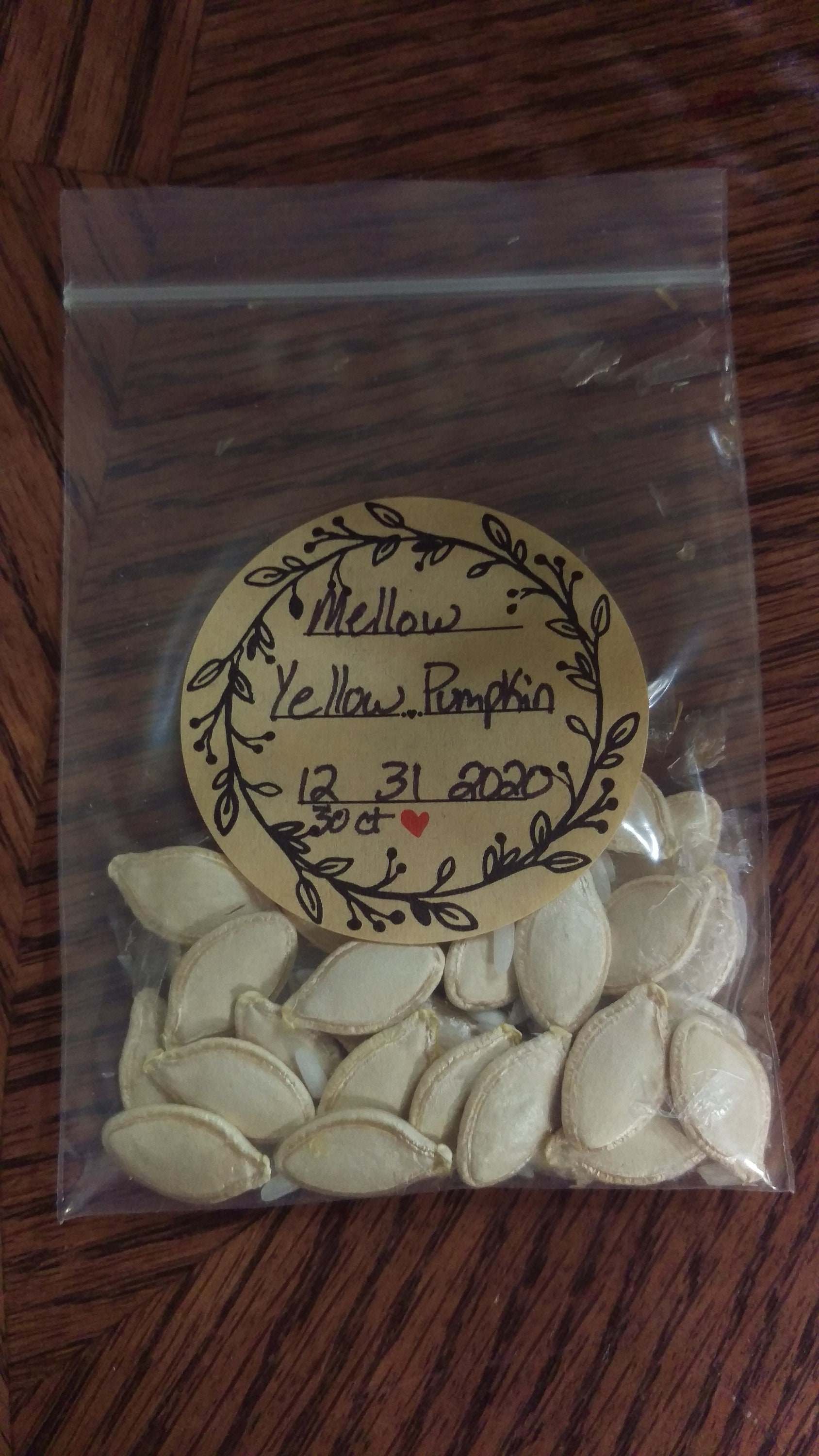 Mellow Yellow Pumpkin Seeds Etsy