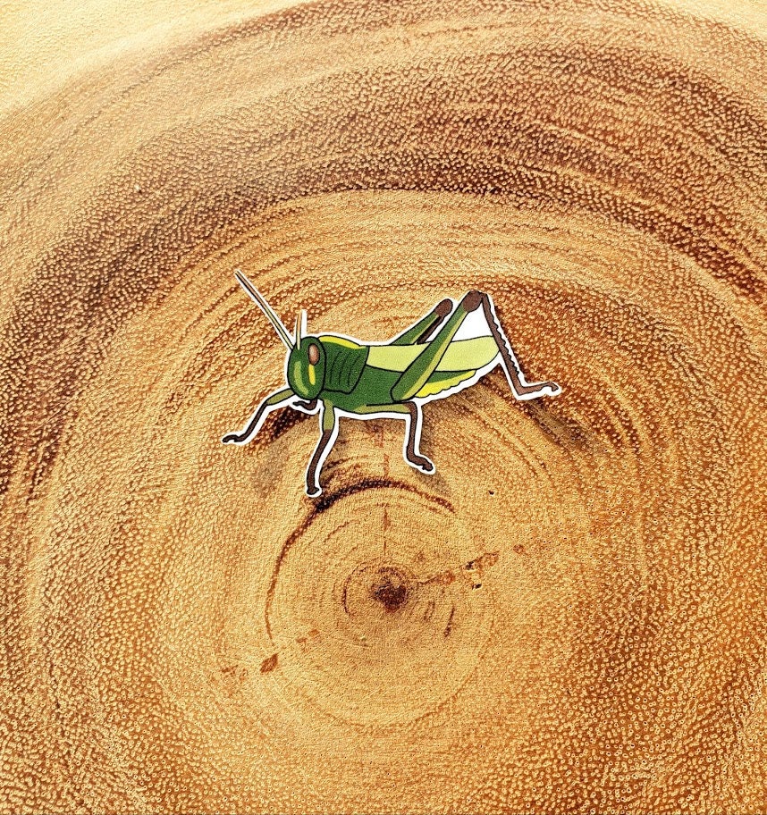 Sticker 2 inches Laptop Decal Phone Sticker Etsy