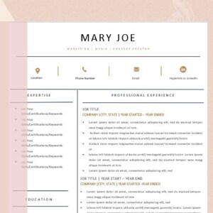 Creative Resume and Cover Letter