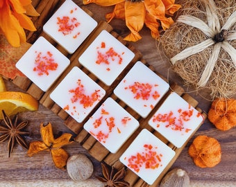 Pumpkin Spice Botanical Eco Soy Wax Melts