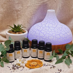 May include: A white ceramic essential oil diffuser with a wooden base, surrounded by six small glass bottles of essential oils. The bottles are labelled with the names of the oils, including Peppermint, Tea Tree, Eucalyptus, Lavender, Sweet Orange, and Lemongrass. The diffuser is lit up with a purple light.