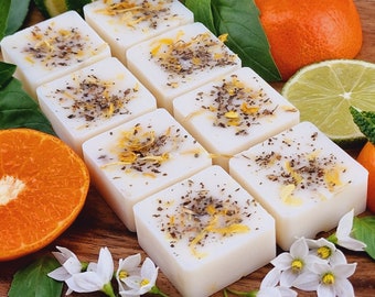 Lime, Basil & Mandarin Botanical Eco Soy Wax Melts