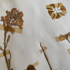 NEW STOCK 3 Fabulous Vintage Herbiers Books of Dried Flowers Collection of  French Herbier Dried Flowers Ephemera