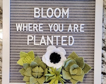 Felt Succulents Letter board accessories