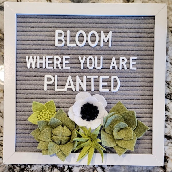 Felt Succulents Letter board accessories