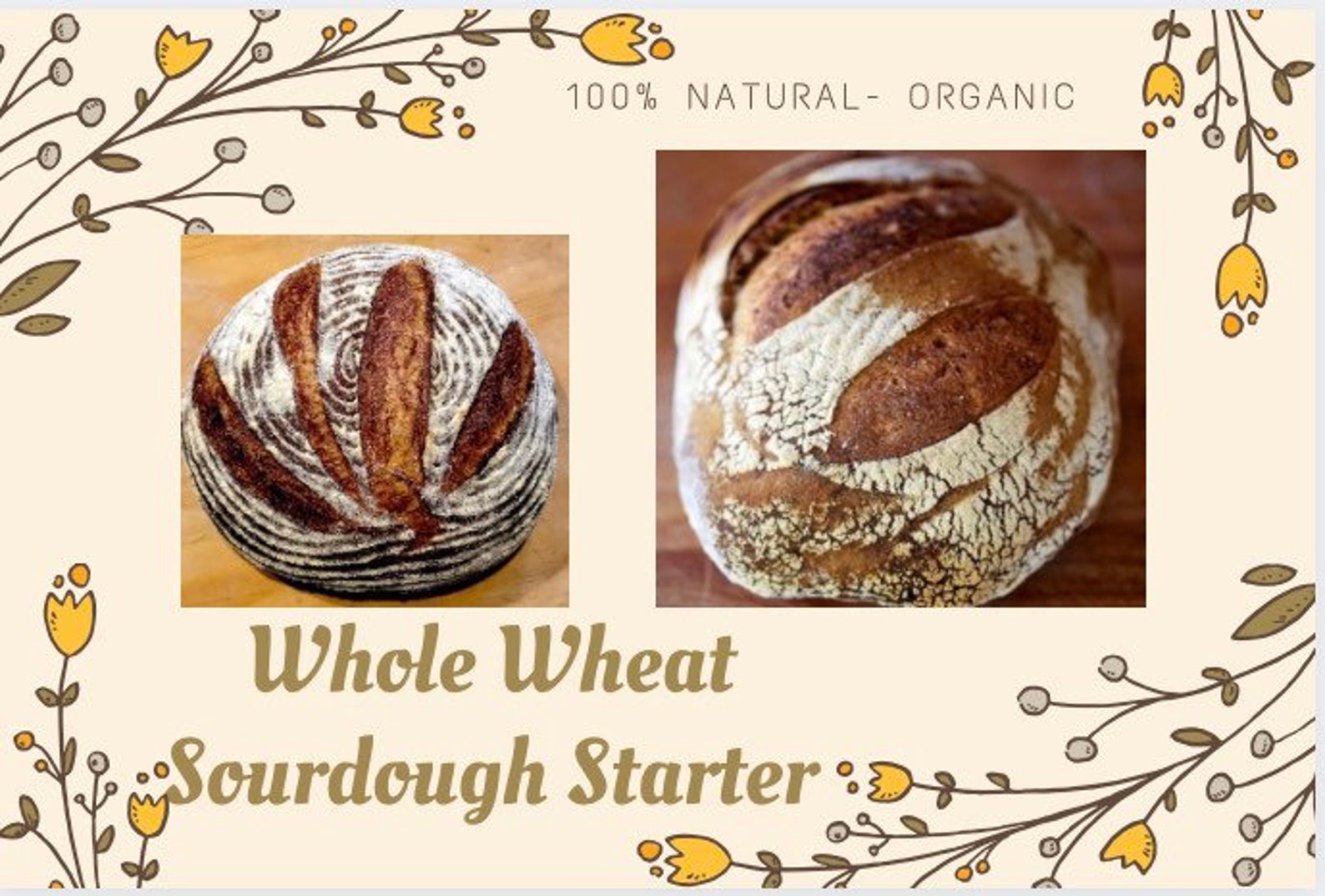 SOURDOUGH STARTER WHOLE Wheat. Organic whole wheat sourdough Etsy