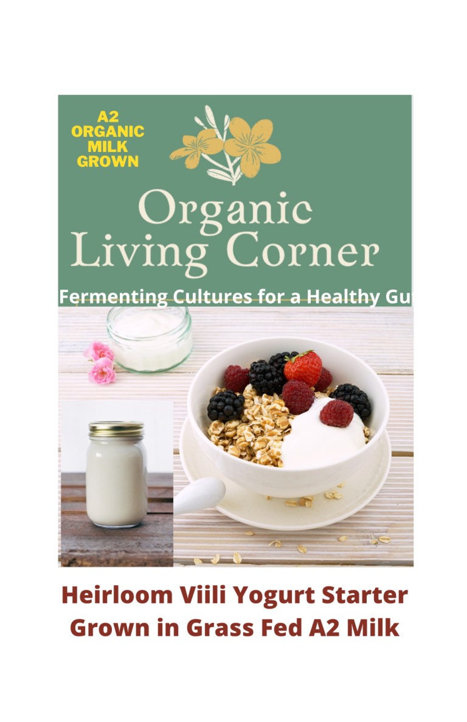 VIILI YOGURT STARTER. Mesophilic yogurt starter. No heating Etsy