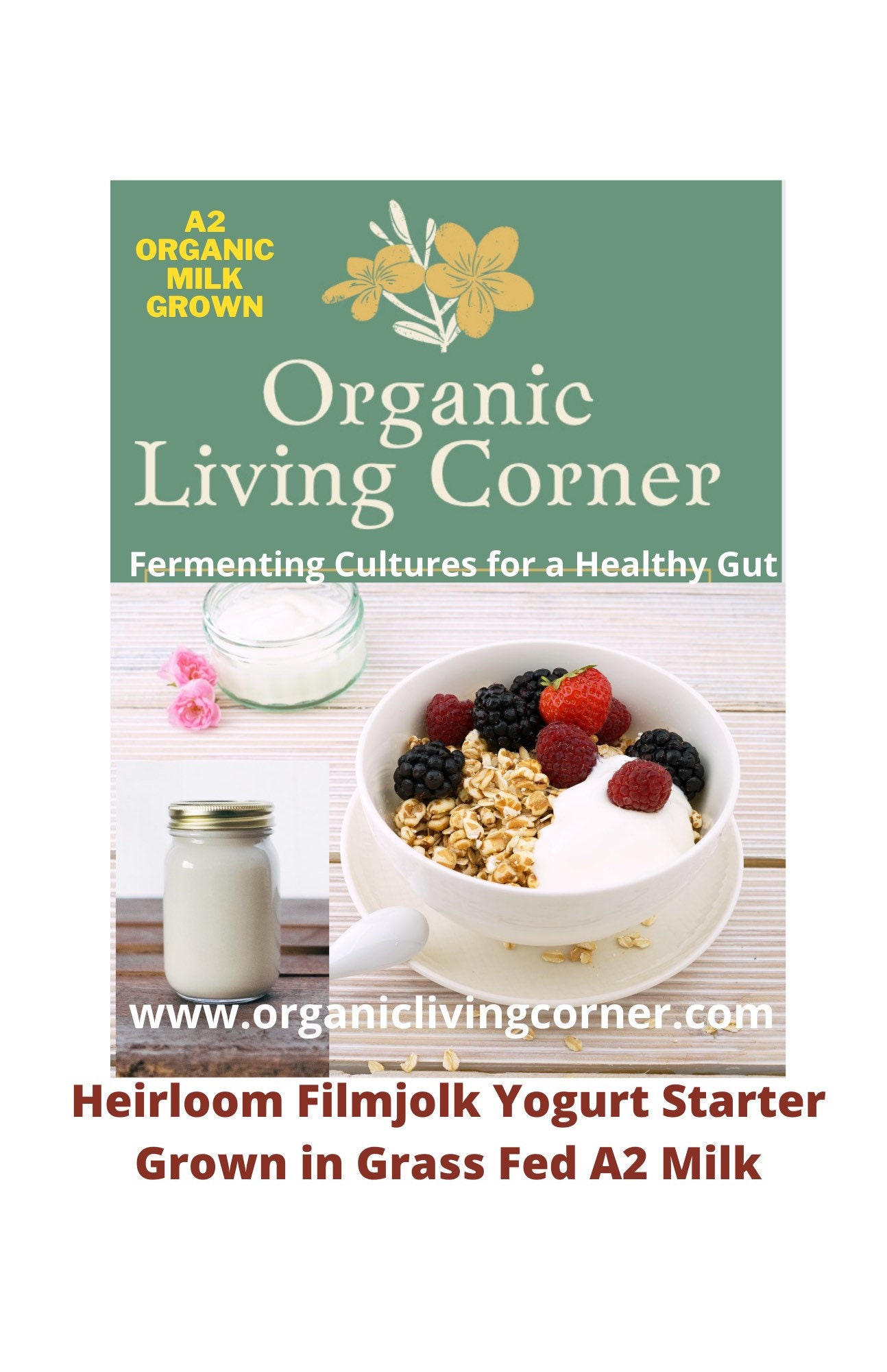 GOAT MILK FILMJOLK Yogurt Starter. Goat Mesophilic Yogurt. Countertop