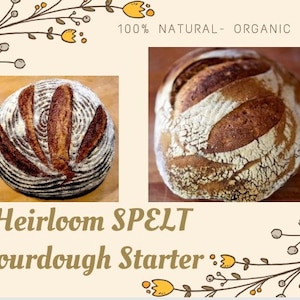Dinkelsauerteig als Starter. Erbstück Kultur. Gesundes Brot selber machen. Biologisch angebaut. Kräftiger Sauerteigstarter. Trocken und frisch aktiv