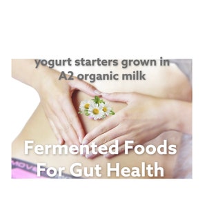 Może przedstawiać: Obraz z tekstem "yogurt starters grown in A2 organic milk" i "Fermented Foods For Gut Health." Dłonie tworzą kształt serca nad brzuchem osoby, z stokrotkami i zielenią pośrodku.