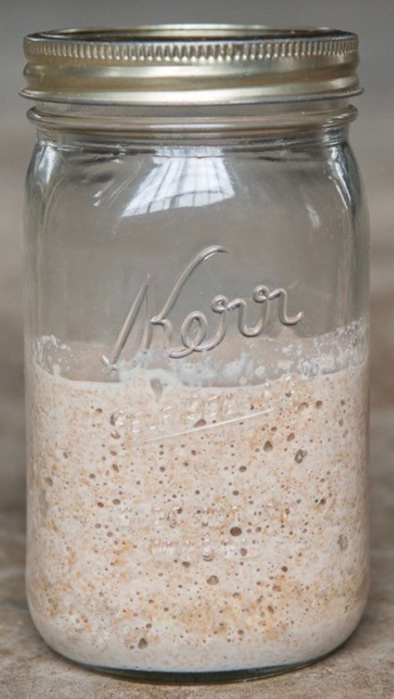 Whole Wheat SOURDOUGH STARTER Organic Whole Wheat Sourdough Starter whole-wheat-sourdough-starter-organic-whole-wheat-sourdough-starter
