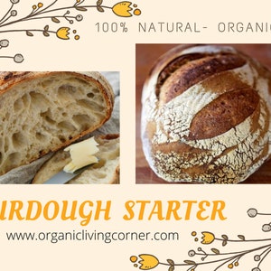 EINKORN SAUERTEIG STARTER. Heirloom Einkorn Gärkultur. Biologisch angebautes Einkorn. frisches gemahlenes Einkorn