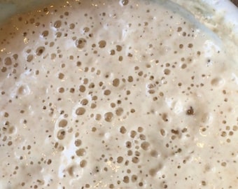 San Francisco Fresh Sourdough Starter: 150 Year Old Heirloom, Grown with Certified Organic Italian flour no synthetic herbicides