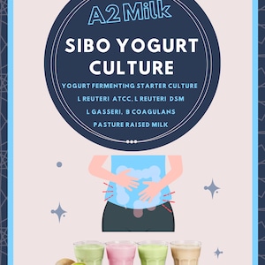 SIBO Yogurt Starter Pack. A2 Pasture Raised Milk Grown. Make Batch after Batch. Nutritious Probiotic Versatile Yogurt. L reuteri L gasseri