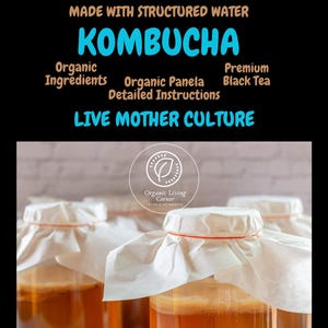 Kombucha Mother Culture and Starter Tea Pack, Grown with Structured Water, Organic Panela & Premium Black Tea, Detailed Instructions