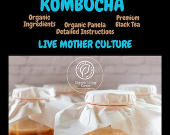 Kombucha Starter Kit: Bio Panela, Schwarzer Tee, ausführliche Anleitung