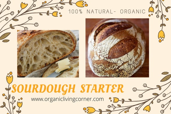 Premium Sourdough Starter Kit | Organic Sourdough Starter 