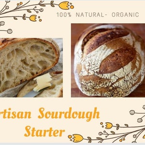 150-letni zakwas z San Francisco: suszony, rzemieślniczy, zabytkowy chleb