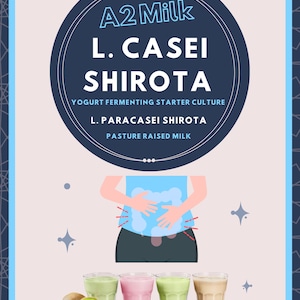 Może przedstawiać: Grafika promocyjna dla jogurtu A2 Milk L. Casei Shirota. Obraz zawiera okrągłe logo z tekstem, diagram osoby i cztery szklanki jogurtu w r&oacute;żnych kolorach. Wyświetlane są r&oacute;wnież owoce i czekolada.