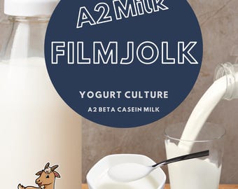 Filmjolk Yogurt Starter: Organic A2 Milk, Swedish Mesophilic Culture, No Yogurt Maker Required
