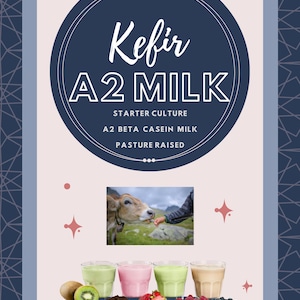 A2 Milk Kefir Starter 5 sachets, pasture raised kefir yogurt culture. Make batch after batch. Nutritious Probiotic. No grains to care for