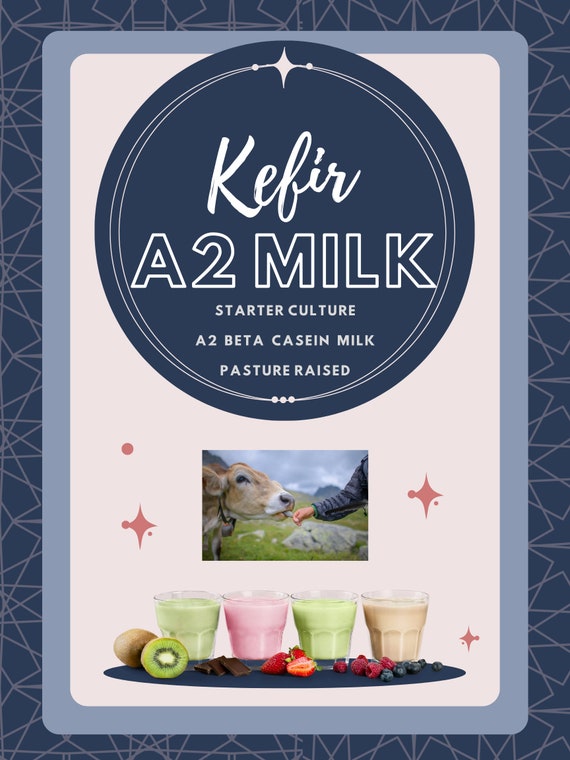 Water or Milk Kefir POWDER or LIVE Grains Lebanese Probiotic Starter  Organic (Water Kefir Grains Live)
