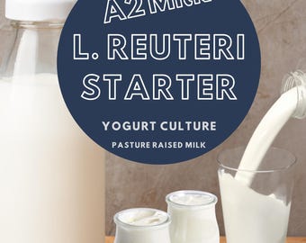 Zestaw startowy do jogurtu L Reuteri: kultura fermentacyjna mleka A2 – zrób to sam – jogurt przyjazny dla jelit