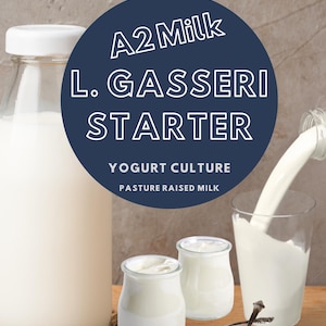 Kit di avviamento per colture di yogurt L Gasseri: latte di allevamento al pascolo A2, probiotico - Coltura di yogurt SuperGut fai da te