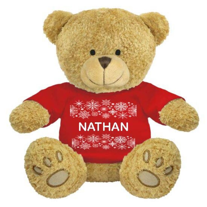 Personalised Teddy Bearchristmas Teddycustom Printed Messagesoft
